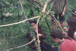 Construction of Menstrual Hut in Dreamtime Village Orchard August, 1992