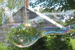 longbubble