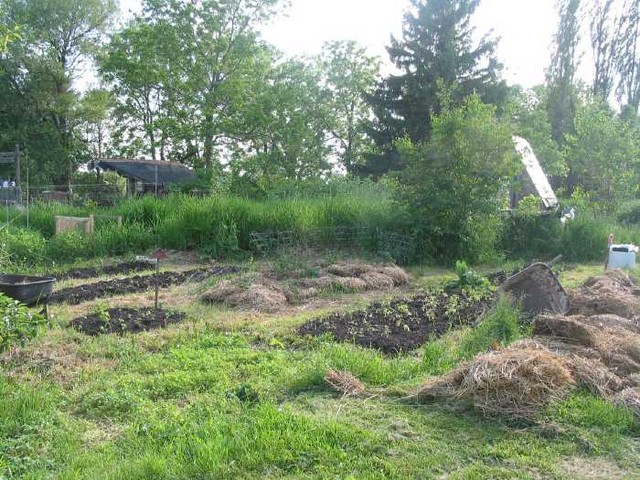 garden01
