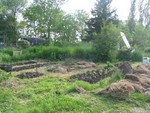 garden01