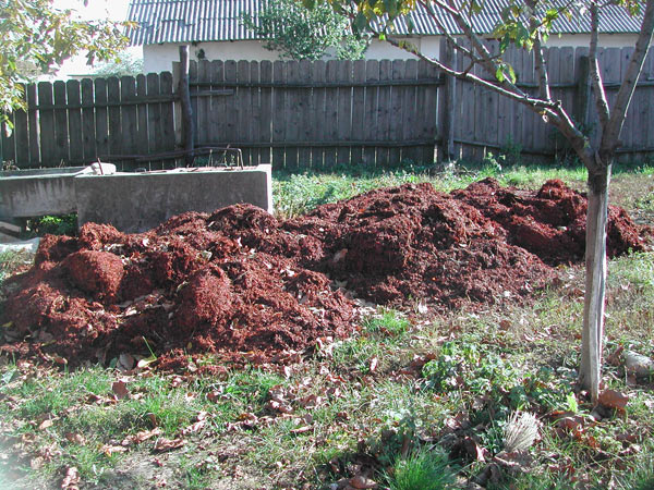 grape_compost.jpg